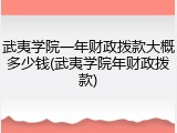 武夷学院一年财政拨款大概多少钱(武夷学院年财政拨款)