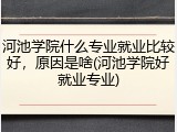 河池学院什么专业就业比较好，原因是啥(河池学院好就业专业)
