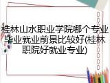 桂林山水职业学院哪个专业毕业就业前景比较好(桂林职院好就业专业)