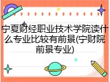宁夏财经职业技术学院读什么专业比较有前景(宁财院前景专业)