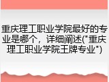 重庆理工职业学院最好的专业是哪个，详细阐述("重庆理工职业学院王牌专业")