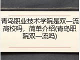 青岛职业技术学院是双一流高校吗，简单介绍(青岛职院双一流吗)