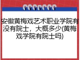 安徽黄梅戏艺术职业学院有没有院士，大概多少(黄梅戏学院有院士吗)