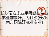 长沙南方职业学院哪些专业就业前景好，为什么(长沙南方职院好就业专业)