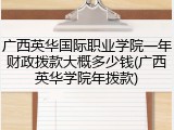 广西英华国际职业学院一年财政拨款大概多少钱(广西英华学院年拨款)