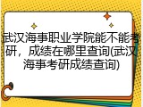 武汉海事职业学院能不能考研，成绩在哪里查询(武汉海事考研成绩查询)