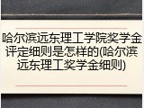 哈尔滨远东理工学院奖学金评定细则是怎样的(哈尔滨远东理工奖学金细则)