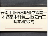 云南工业信息职业学院是一本还是本科第二批(云南工院本科批次)