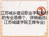 江苏城乡建设职业学院最好的专业是哪个，详细阐述(江苏城建学院王牌专业)