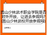 嵩山少林武术职业学院是否对外开放，让进去参观吗？(嵩山少林武校开放参观吗)