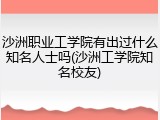 沙洲职业工学院有出过什么知名人士吗(沙洲工学院知名校友)