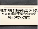 桂林信息科技学院主攻什么方向有哪些王牌专业(桂信院王牌专业方向)
