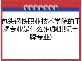 包头钢铁职业技术学院的王牌专业是什么(包钢职院王牌专业)