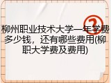 柳州职业技术大学一年学费多少钱，还有哪些费用(柳职大学费及费用)