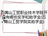 石嘴山工贸职业技术学院开设有哪些奖学和助学金(石嘴山工贸学院奖助学金)
