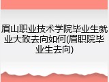 眉山职业技术学院毕业生就业大致去向如何(眉职院毕业生去向)