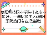 阜阳科技职业学院什么专业最好，一年招多少人(阜阳职院热门专业招生数)