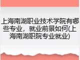 上海南湖职业技术学院有哪些专业，就业前景如何(上海南湖职院专业就业)