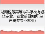 湖南税务高等专科学校有哪些专业，就业前景如何(湖南税专专业就业)