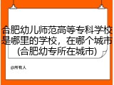 合肥幼儿师范高等专科学校是哪里的学校，在哪个城市(合肥幼专所在城市)