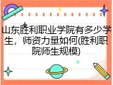 山东胜利职业学院有多少学生，师资力量如何(胜利职院师生规模)