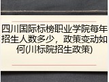 四川国际标榜职业学院每年招生人数多少，政策变动如何(川标院招生政策)
