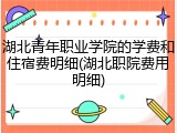 湖北青年职业学院的学费和住宿费明细(湖北职院费用明细)