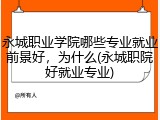 永城职业学院哪些专业就业前景好，为什么(永城职院好就业专业)