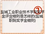 盐城工业职业技术学院奖学金评定细则是怎样的(盐城职院奖学金细则)