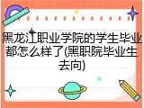 黑龙江职业学院的学生毕业都怎么样了(黑职院毕业生去向)