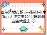 哈尔滨城市职业学院毕业生就业大致去向如何(哈职毕业生就业去向)