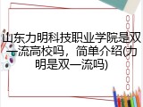 山东力明科技职业学院是双一流高校吗，简单介绍(力明是双一流吗)