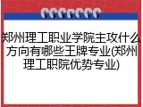 郑州理工职业学院主攻什么方向有哪些王牌专业(郑州理工职院优势专业)