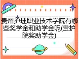 贵州护理职业技术学院有哪些奖学金和助学金呢(贵护院奖助学金)