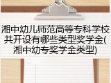 湘中幼儿师范高等专科学校共开设有哪些类型奖学金(湘中幼专奖学金类型)