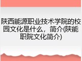 陕西能源职业技术学院的校园文化是什么，简介(陕能职院文化简介)