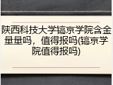 陕西科技大学镐京学院含金量量吗，值得报吗(镐京学院值得报吗)