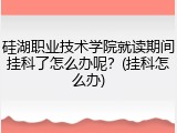 硅湖职业技术学院就读期间挂科了怎么办呢？(挂科怎么办)