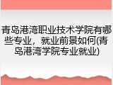青岛港湾职业技术学院有哪些专业，就业前景如何(青岛港湾学院专业就业)