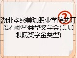 湖北孝感美珈职业学院共开设有哪些类型奖学金(美珈职院奖学金类型)