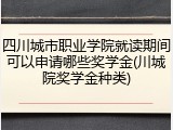 四川城市职业学院就读期间可以申请哪些奖学金(川城院奖学金种类)