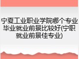宁夏工业职业学院哪个专业毕业就业前景比较好(宁职就业前景佳专业)