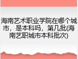 海南艺术职业学院在哪个城市，是本科吗，第几批(海南艺职城市本科批次)
