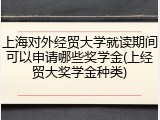 上海对外经贸大学就读期间可以申请哪些奖学金(上经贸大奖学金种类)