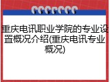 重庆电讯职业学院的专业设置概况介绍(重庆电讯专业概况)