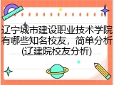 辽宁城市建设职业技术学院有哪些知名校友，简单分析(辽建院校友分析)