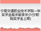 宁夏交通职业技术学院一年奖学金最多能拿多少(宁职院奖学金上限)