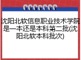 沈阳北软信息职业技术学院是一本还是本科第二批(沈阳北软本科批次)
