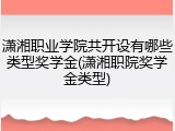 潇湘职业学院共开设有哪些类型奖学金(潇湘职院奖学金类型)