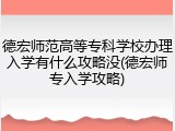 德宏师范高等专科学校办理入学有什么攻略没(德宏师专入学攻略)